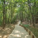 벌등공원 이미지