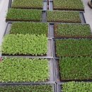 김제농장 이미지