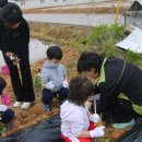 또래모아어린이집 이미지