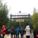일지매 여행사 | [전라남도/담양]담양가볼만한곳/담양죽녹원/겨울에가볼만한여행지