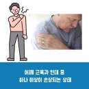 신정형외과의원 | 어깨 위쪽 통증 이유없이 아프다면 확인하세요! [목 어깨 통증]