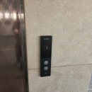 큰나무대형약국 | 광주 대형약국 수완지구 대형약국 메가스토어 주차 및 주말 방문 후기