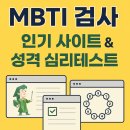 MBTI 결과만 보고 직업과 인간관계까지 바꾼 후기 (검사 링크 포함)