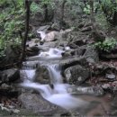 동아무도장 이미지