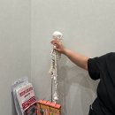 미원 등 건물 (미원빌딩) | 대구 수성구 경락 잘하는곳 ’더에스테틱수미원‘에서 웨딩 관리 받고 온 후기