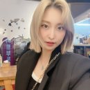 더하이브헤어 이미지