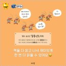 개구리서적 이미지