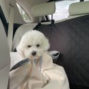 덕목5길 이미지