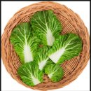 JYP휘트니스 이미지