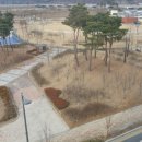 소담동도서관 이미지