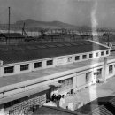 [유네스코뉴스 5월호 / 창립 70주년 기획] 유네스코한국위원회 70주년의 결정적 숫자들 ➋