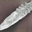 아프리카동물병원 이미지