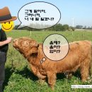 몽시떼루 이미지