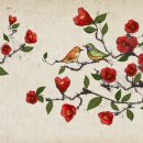 대화면사무소 이미지