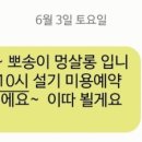 뽀송이 멍살롱 네이버블로그