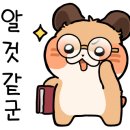 파스쿠찌판교대장점