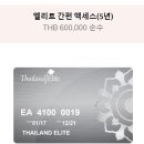 비자타이 이미지