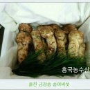 울진 금강송 송이버섯 판매합니다 (9월27~28일 택배발송가능)[판매완료] 이미지