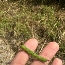 여주-0828 이미지