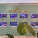 화정도서관 갤러리 꽃 이미지