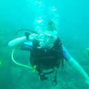 순창군청 이미지