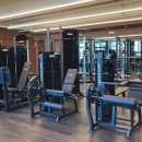 라곰피티 이미지