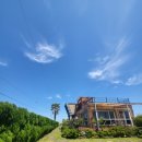 제주놀3320 이미지