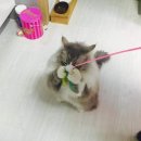면세마트 이미지