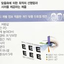 대구 짝눈 부동시 - 도수 차이 많이 나는 눈이 어지러운 이유와 교정시력 - 대구 반월당 현대백화점 옆 패션트랜드 렌즈피아 이미지