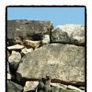 동성여관 이미지