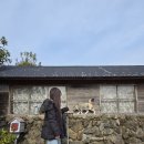 셀러리 | 제주 가성비 감성 숙소 셀러리제주 내돈내산 찐 후기