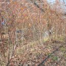 세세농장 이미지