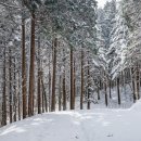 축령산 백련동(추암) 이미지