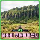 우림목장 | 하와이 쿠알로아랜치 짚라인 무비투어 체험 예약 팁