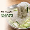 이조면옥함흥냉면 | 부여 이조면옥 함흥냉면 솔직후기