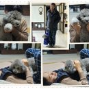 로얄동물메디컬센터 본원 이미지