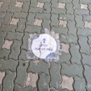 종로 익선동 가볼 만한 곳 제주삼다수 팝업스토어 후기