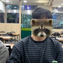 우가야돈가야