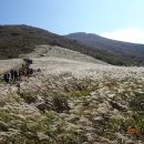 물결속으로 이미지