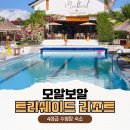 프리쉐이드커피 | 세부 여행 모알보알 숙소 수영장 있는 4성급 리조트 트리쉐이드
