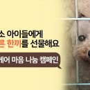 (주)에이아이포펫 이미지