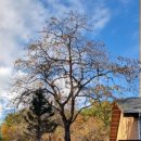 원불교 함양교당 이미지