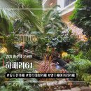 양주 대형카페 하패리61 후기｜850평 식물원 감성 베이커리 카페 (동두천 근교)