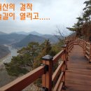 10/31(일)용궐산하늘길-체계산출렁다리 이미지