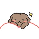 루리네일 이미지