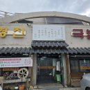 수영구 돼지국밥 영진돼지국밥코스트코센텀점 점심 후기