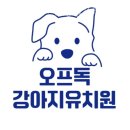 오프독 반려견 종합교육문화센터 이미지