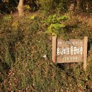 죽리 이미지