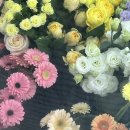힐링플라워 | 비전동 단골 많은 꽃집 힐링플라워/꽃바구니 후기