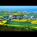 가작축산 이미지